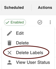 gPanel Contact Sync action menu with the Delete Labels option highlighted to remove synced labels and associated contacts from target user accounts.