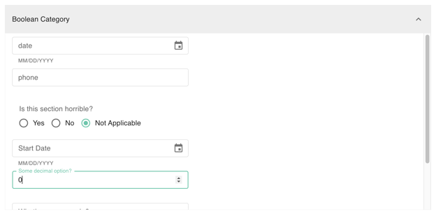 gPanel Custom Attributes Boolean Category showing date pickers, radio buttons, and decimal input fields.