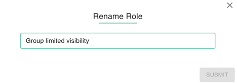 The image displays a user interface element with the title 'Rename Role' at the top. Below the title, there is a text field with the placeholder 'Group limited visibility' inside it.